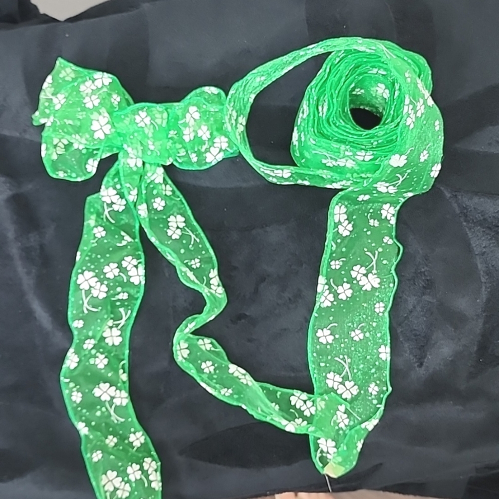 Green Sheer Wire Ribbon  2.5 inches wide, 6.4 yards + a bow.
